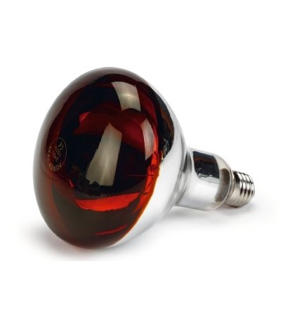 Beeztees Ինֆրակարմիր լամպ 150 W - haf-haf.am