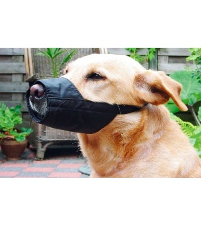 Beeztees Դնչակալ շների համար նեյլոնից չափսը XL special 30 սմ - haf-haf.am