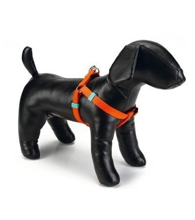 Beeztees Մարմնակապ շների համար UNI նեյլոնից նարնջագույն 46-75X20 սմ - haf-haf.am