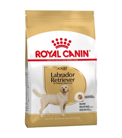 LABRADOR ADULT 12 KG - haf-haf.am