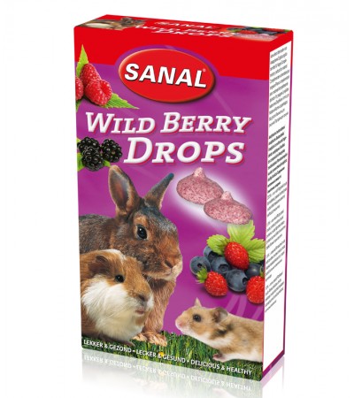 Sanal Wild Berry Drops 45գ - haf-haf.am