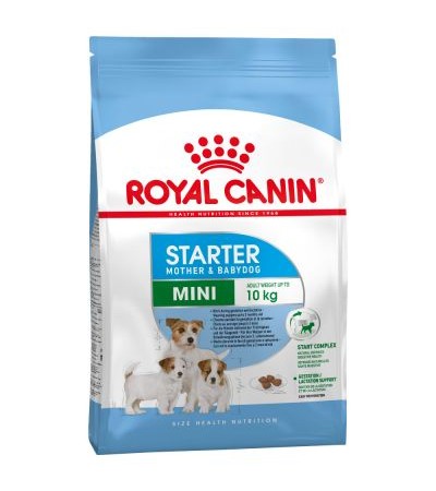 Royal Canin Mini Starter 8,5 kg - haf-haf.am