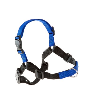 Ferplast Coach P M Մարմնակապ - haf-haf.am