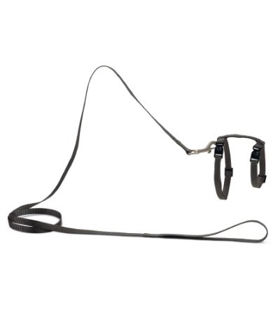 Beeztees Մարմնակապ կատուների համար՝ նեյլոնից մուգ մոխրագույն 27-45X10 սմ - haf-haf.am