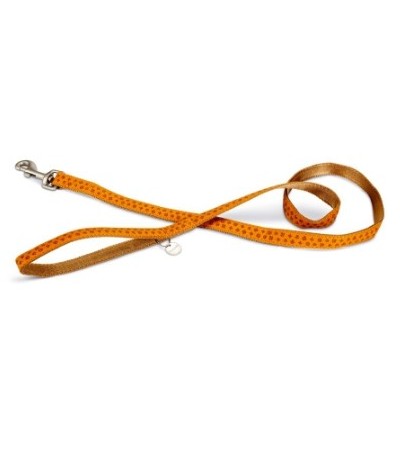 Beeztees Թոկ շների համար MacLeather արհեստական կաշվից և նեյլոնից դարչնագույն 20X120 սմ - haf-haf.am