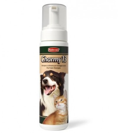 CHARMY13 Փրփուր շամպուն մազերի չոր լվացման համար - haf-haf.am