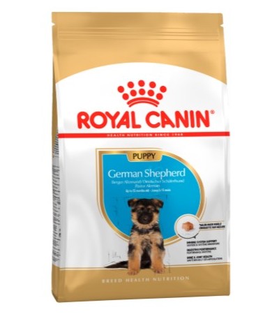 GERMAN SHEPHERD PUPPY 12 KG - haf-haf.am