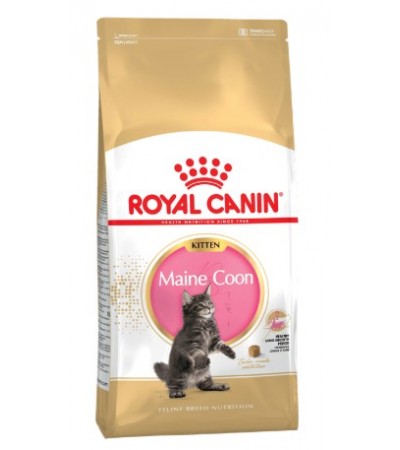 MAINE COON KITTEN 2 KG - haf-haf.am