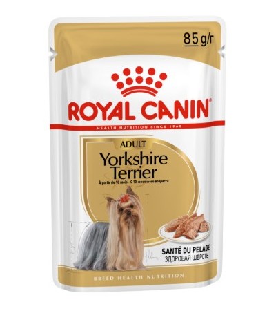 YORKSHIRE TERRIER 12 x 85 G - haf-haf.am