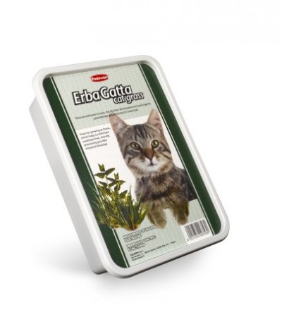 ERBAGATTA կատուների խոտաբույս - haf-haf.am