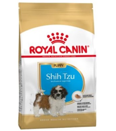 SHIH TZU PUPPY 1.5 KG - haf-haf.am