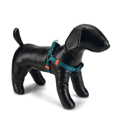 Beeztees Մարմնակապ շների համար UNI նեյլոնից մուգ կանաչ 46-75X20 սմ - haf-haf.am