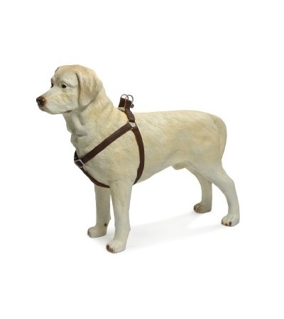 Beeztees Մարմնակապ շների համար MacLeather արհեստական կաշվից և նեյլոնից շագանակագույն 15X35-60 սմ - haf-haf.am