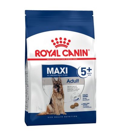 MAXI ADULT 5+ 15KG - haf-haf.am
