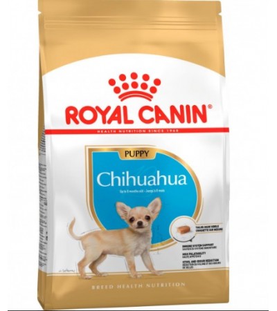 CHIHUAHUA PUPPY 500 G - haf-haf.am