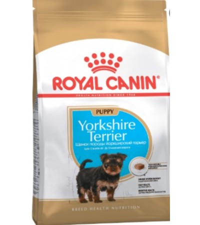 YORKSHIRE TERRIER PUPPY 500 G - haf-haf.am